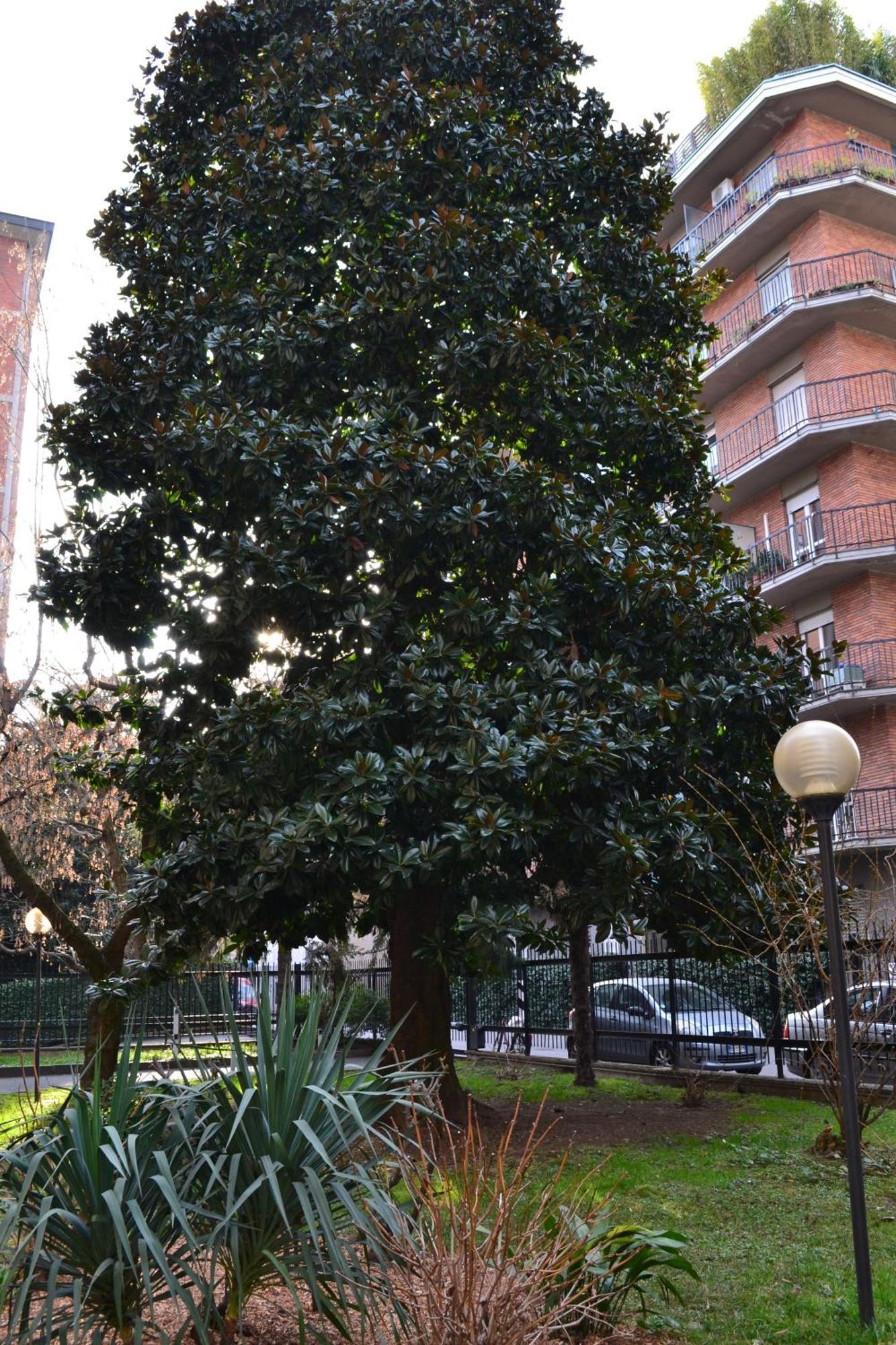 Mocenigo4 Apartment *